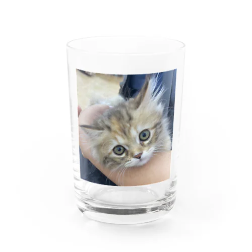 りんりん Water Glass