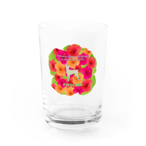 ピンシャー　hibiscus　花言葉　onehappiness Water Glass