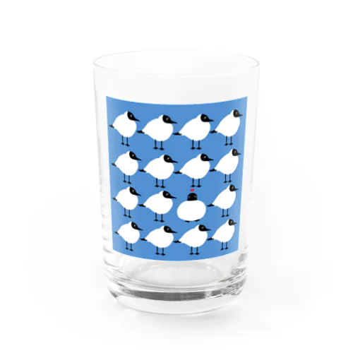 夏毛のユリカモメがいっぱい Water Glass