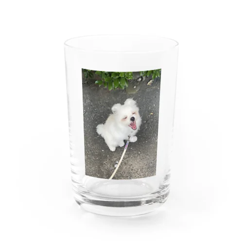 マフィロン　あくび Water Glass