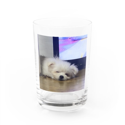 マフィロン　睡眠 Water Glass
