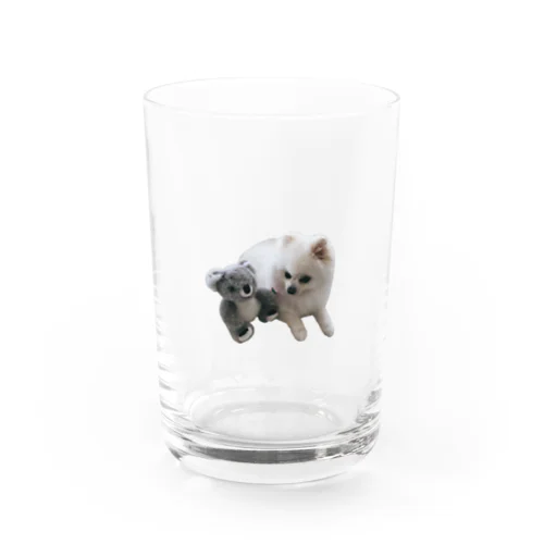 POME POME EVERYDAY  Water Glass