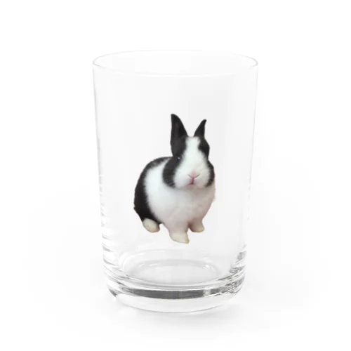 ポコちゃん#うさぎ#子うさぎ#ハチワレ#ダッチ Water Glass