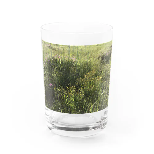 春の草原　野花たち Water Glass