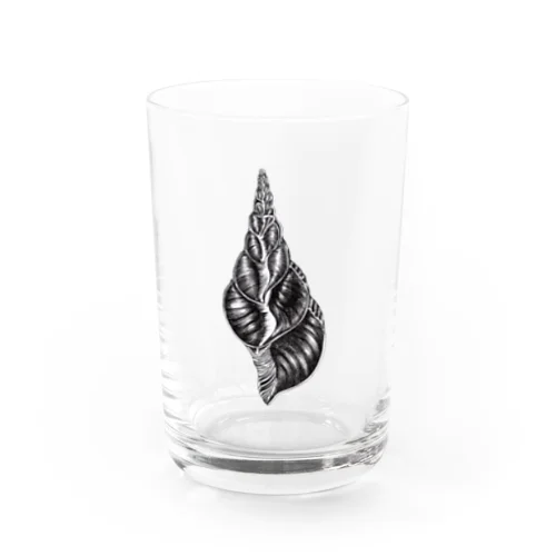 巻き貝が好き Water Glass