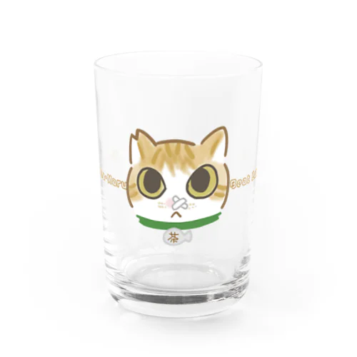 茶々丸、癌をやっつけろ！ Water Glass