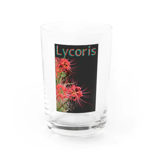 リコリス　彼岸花　LYCORIS Water Glass