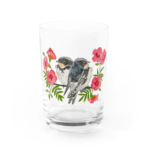 巣立ち燕とノウゼンカズラ Water Glass