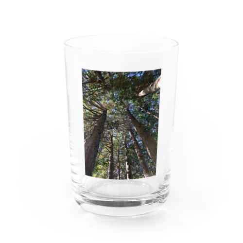 お山の木々 Water Glass