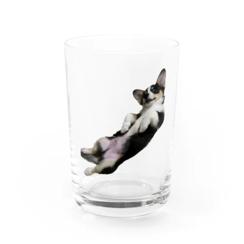 ルカ　パピー1 Water Glass