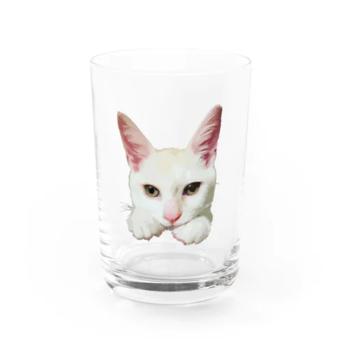 物憂げなつぶちゃん Water Glass