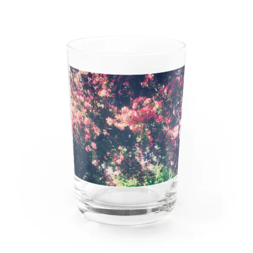 romantic flower Water Glass