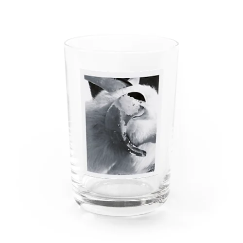 yagi Water Glass