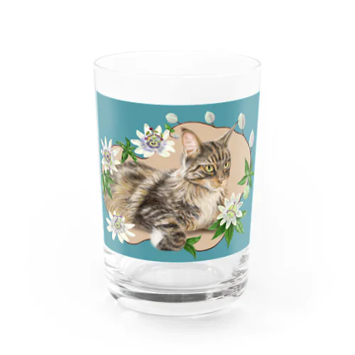 🌼花と猫😸　トケイソウ グラス