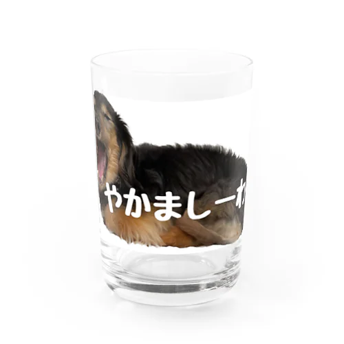 あなぐま会長 心の叫び【やかましーわ】 Water Glass