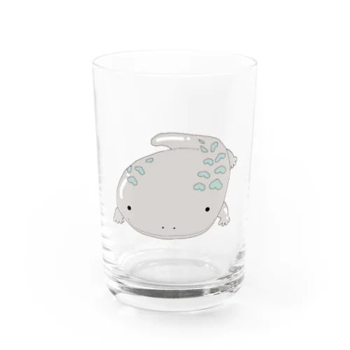 オオサンショウウオです Water Glass