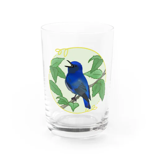 オオルリくん Water Glass