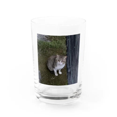 おすわりにゃん太郎 Water Glass