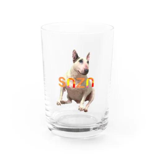 snzn_BullTerrier Water Glass