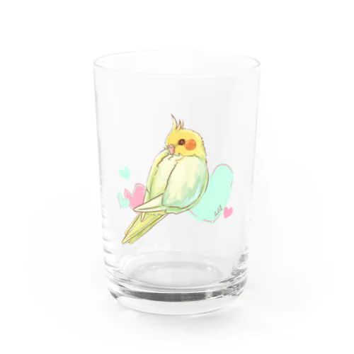 見返りオカメインコ Water Glass