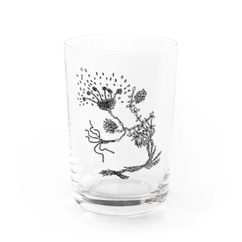 米の恵み（黒） Water Glass