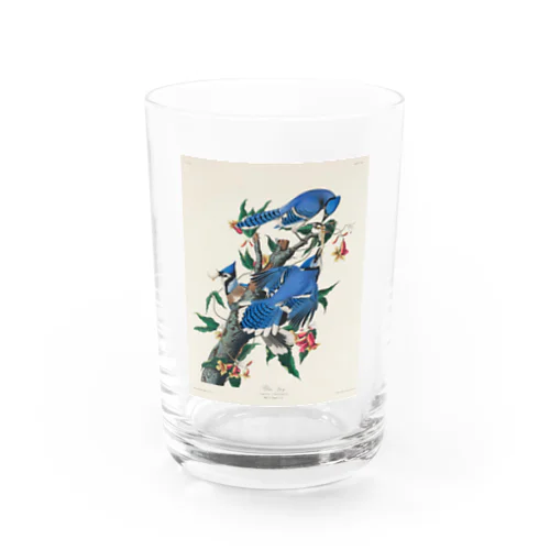 ジョン・ジェームズ・オーデュボン　青い鳥 Water Glass