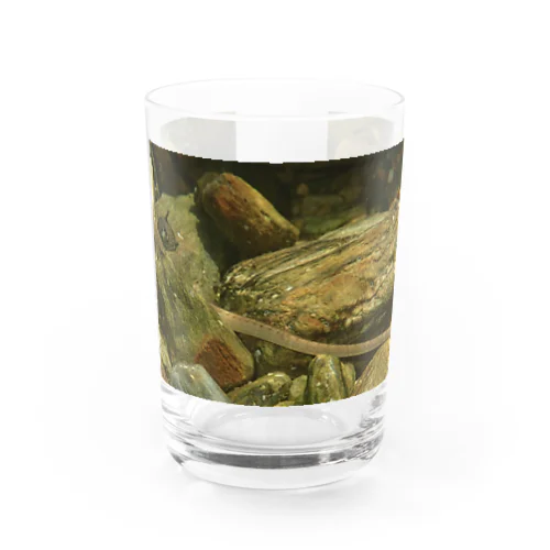 イッセンヨウジ Water Glass