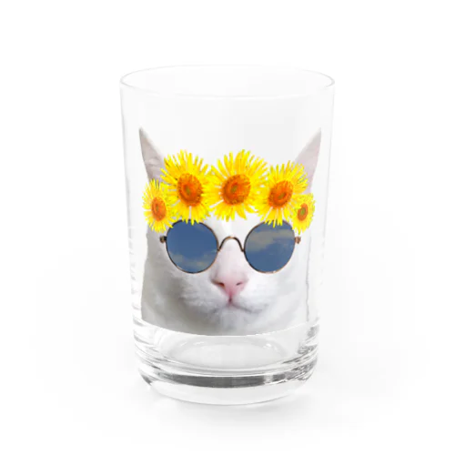 夏を満喫する猫　背景無し Water Glass