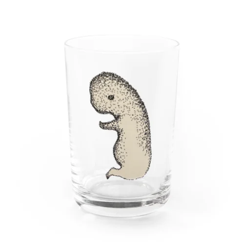 多岐犬蜥蜴 Water Glass