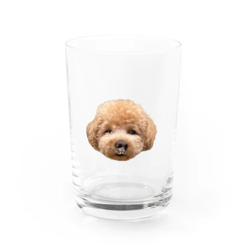 鼻に砂ついた Water Glass