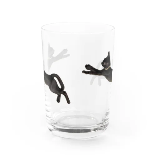 NOMA Water Glass