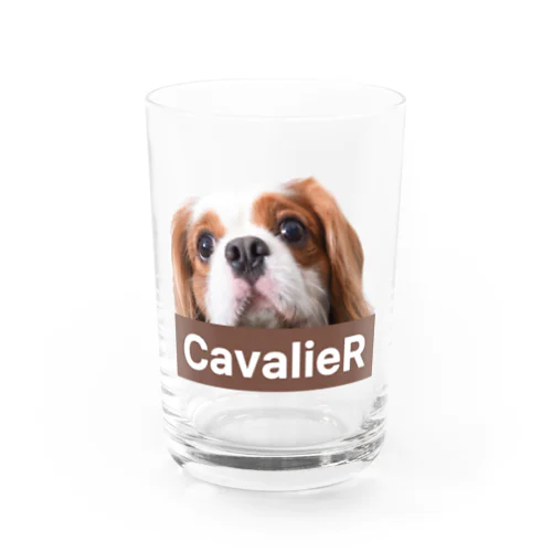 CavalieR キャバリア グラス