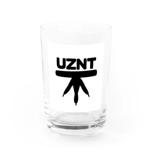 UZNT Water Glass