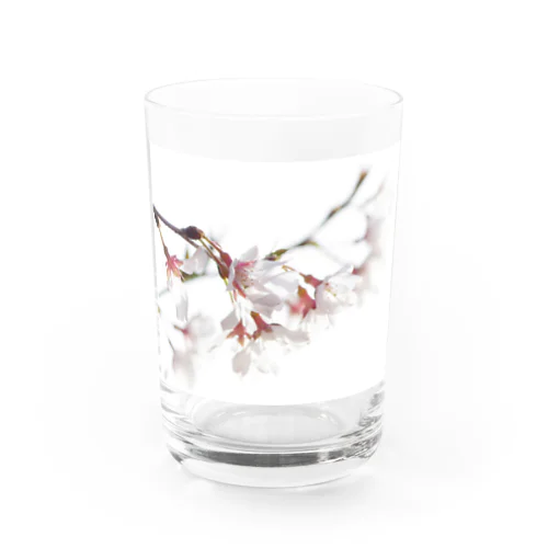 春の訪れを告げる美しい桜の花びら グラス