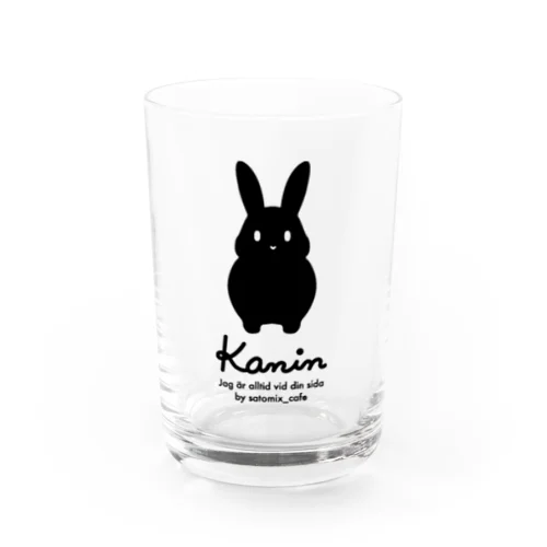 Konin Water Glass