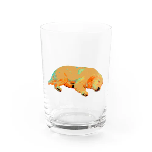 ゴールデンレトリバーりん　#3 Water Glass