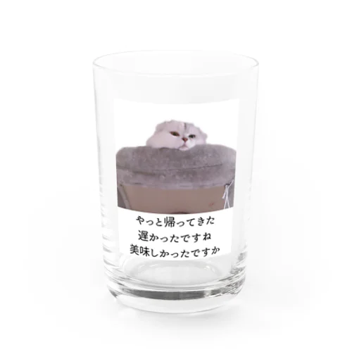 外食したかった ゆきねこ Water Glass