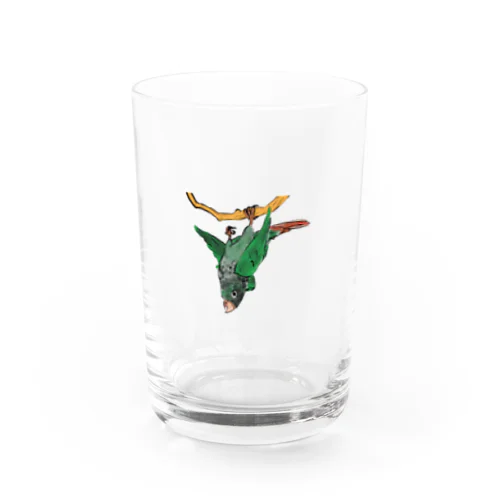 Urokoinko（ウロコインコ） Water Glass