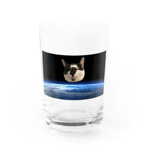 衛星猫 Water Glass