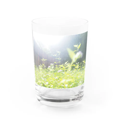 さわめき / Chang Mai Thailand Water Glass