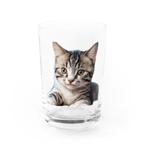 幸運を呼ぶ可愛いネコちゃん Water Glass