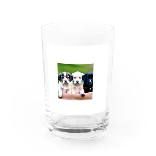 可愛い子犬たち Water Glass