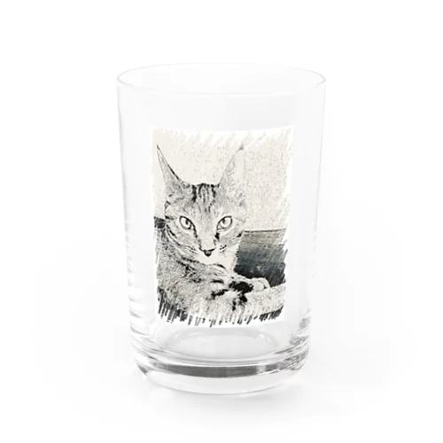 ドヤ顔するコハク Water Glass