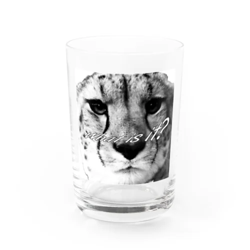 チーターさん Water Glass