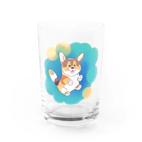 コーギーの大ジャンプ Water Glass