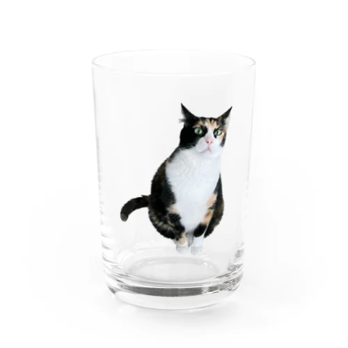 Chloe Water Glass