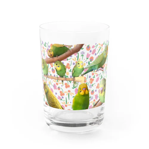 セキセイインコこつぶづくし！ Water Glass