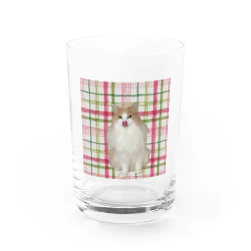 ぺろめる ちぇっく Water Glass