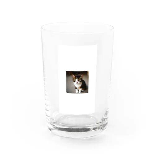 癒し猫 Water Glass