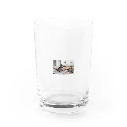 かわいい猫グッズ Water Glass